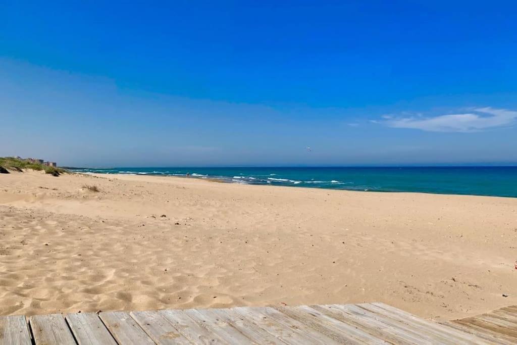 Azul Beach By La Mata Beach Торевиеха Екстериор снимка
